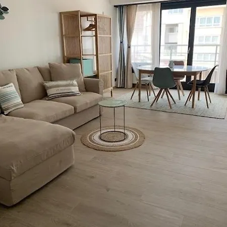 Cosy With Lateral Seaview T57 * Oostende